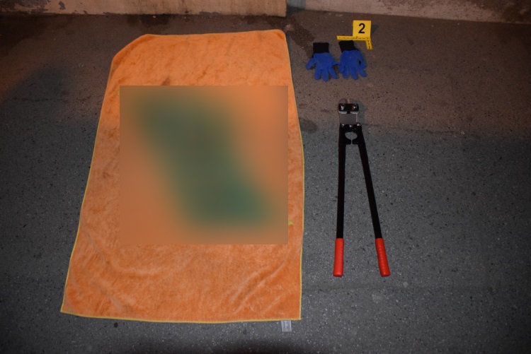 Slika /PU_ZG/slike/PUZ/2022/Ožujak/LOVAC Obrada/Slika 2 C.jpg